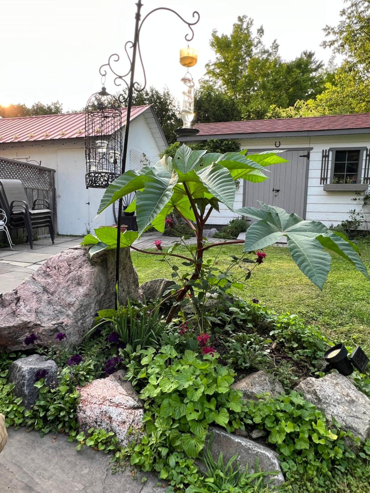 Les Trois Erables Boutique Inn Wakefield Buitenkant foto
